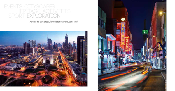 Dubai Pocket book