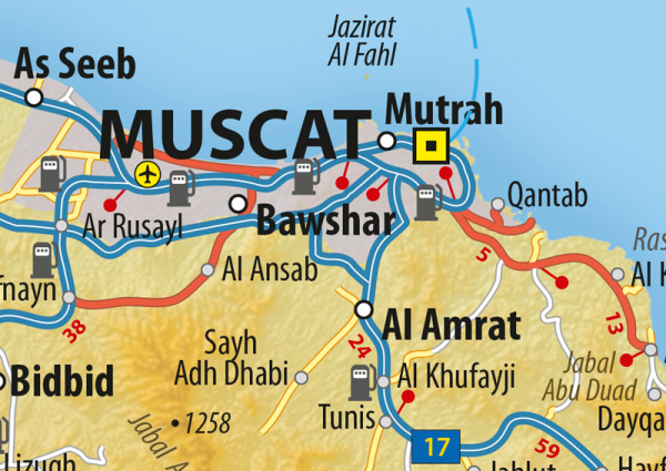 Oman Wall Map
