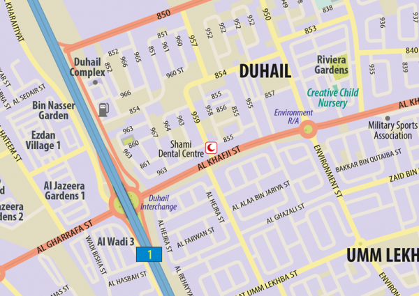 Doha Wall Map