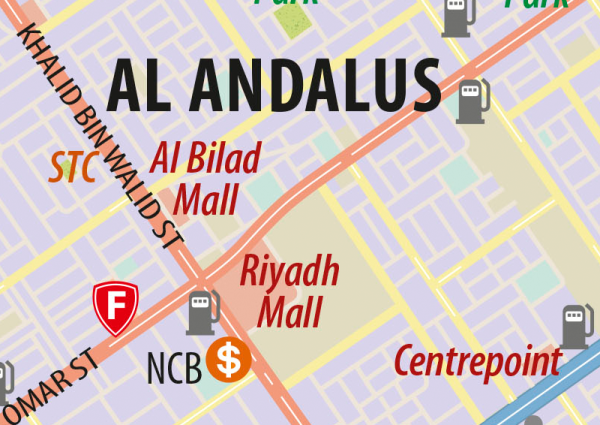 Riyadh Wall Map